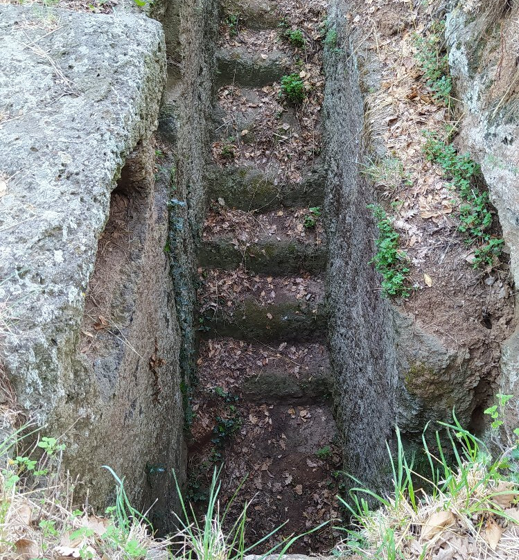 Necropoli Etrusca di Castel d'Asso-维泰博必去景点