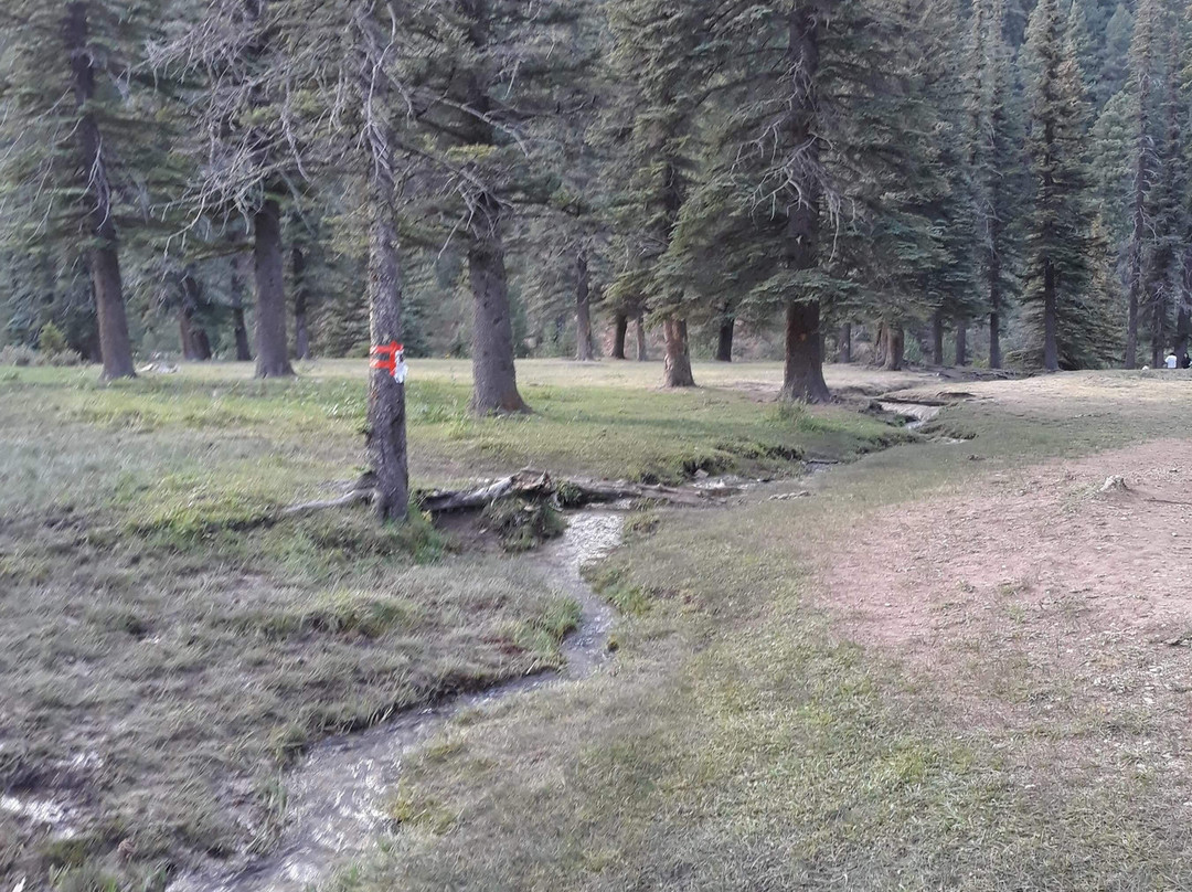 Bluff Springs-Cloudcroft必去景点