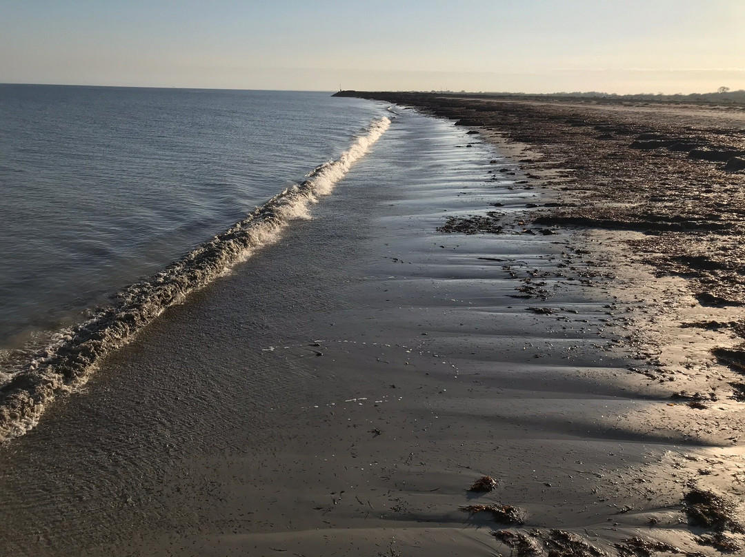 Kingston SE Beach-金斯顿镇必去景点