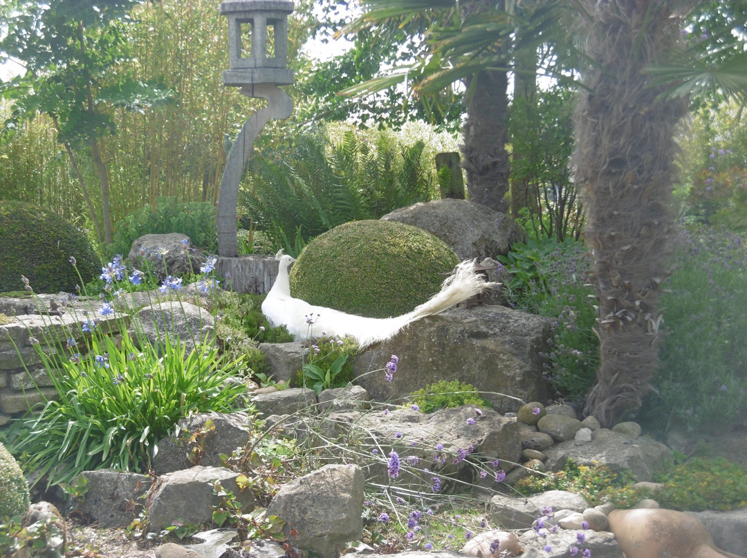 Le Jardin Bosselé景点图片