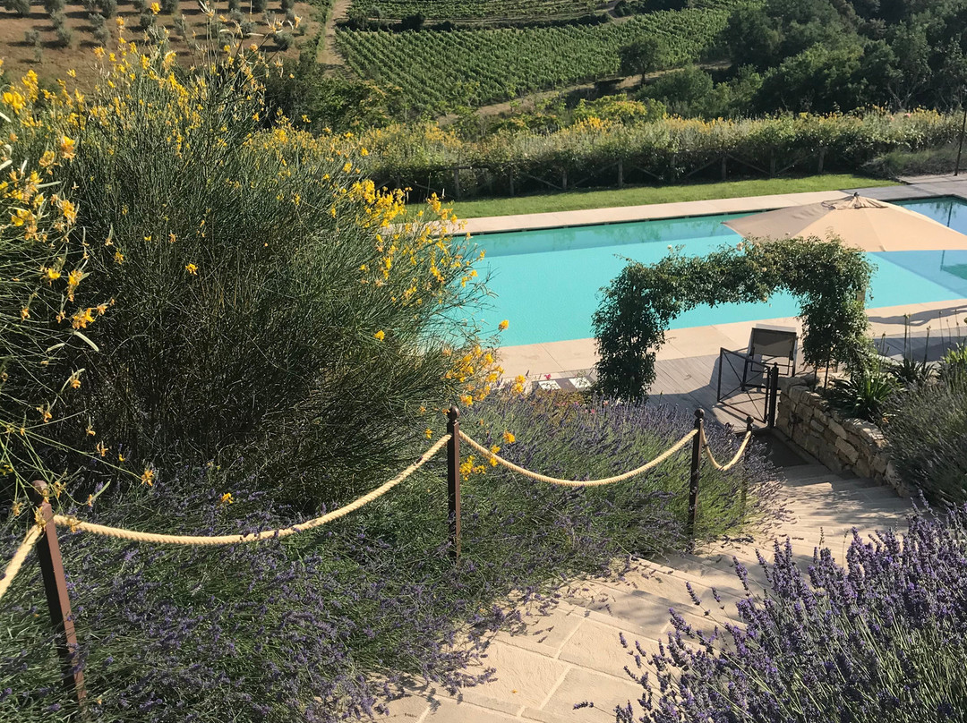 Borgo Del Cabreo主图