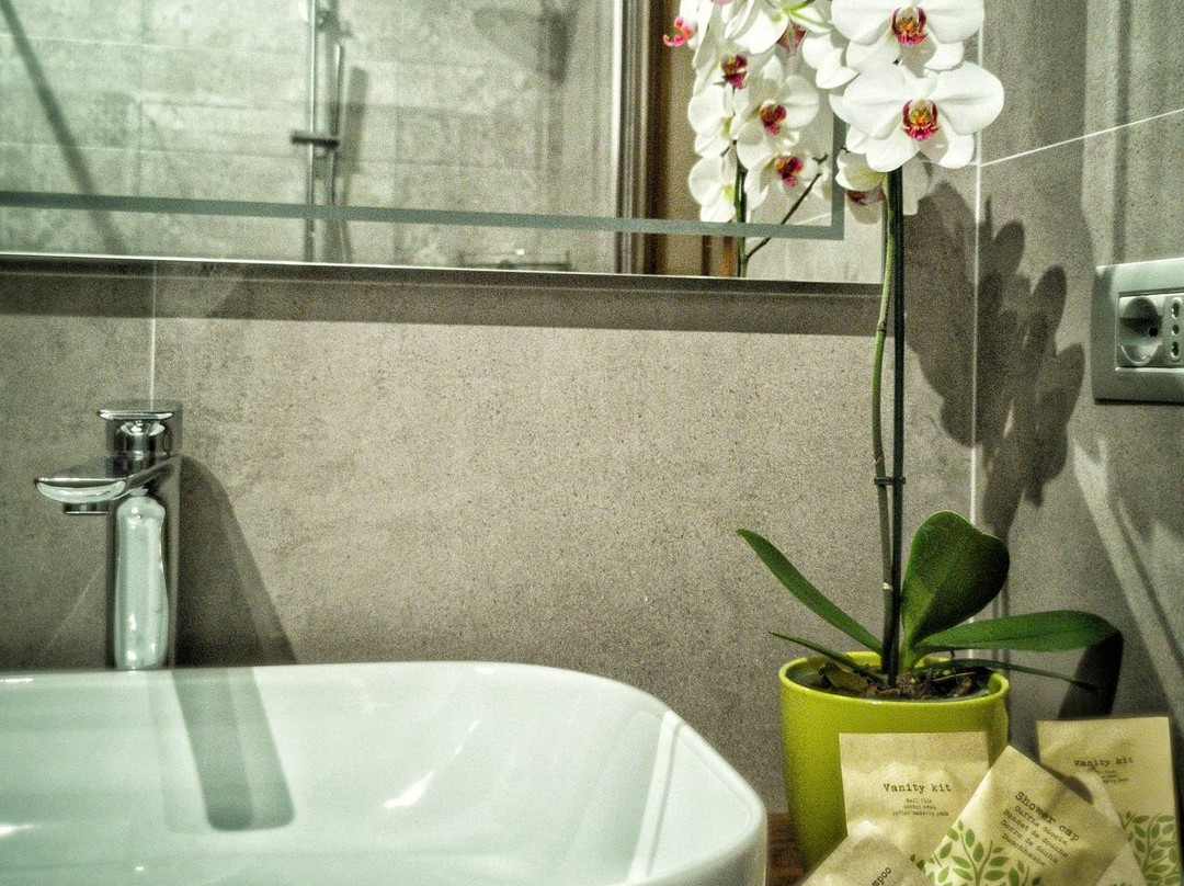 Casapatrizia Art B&B主图