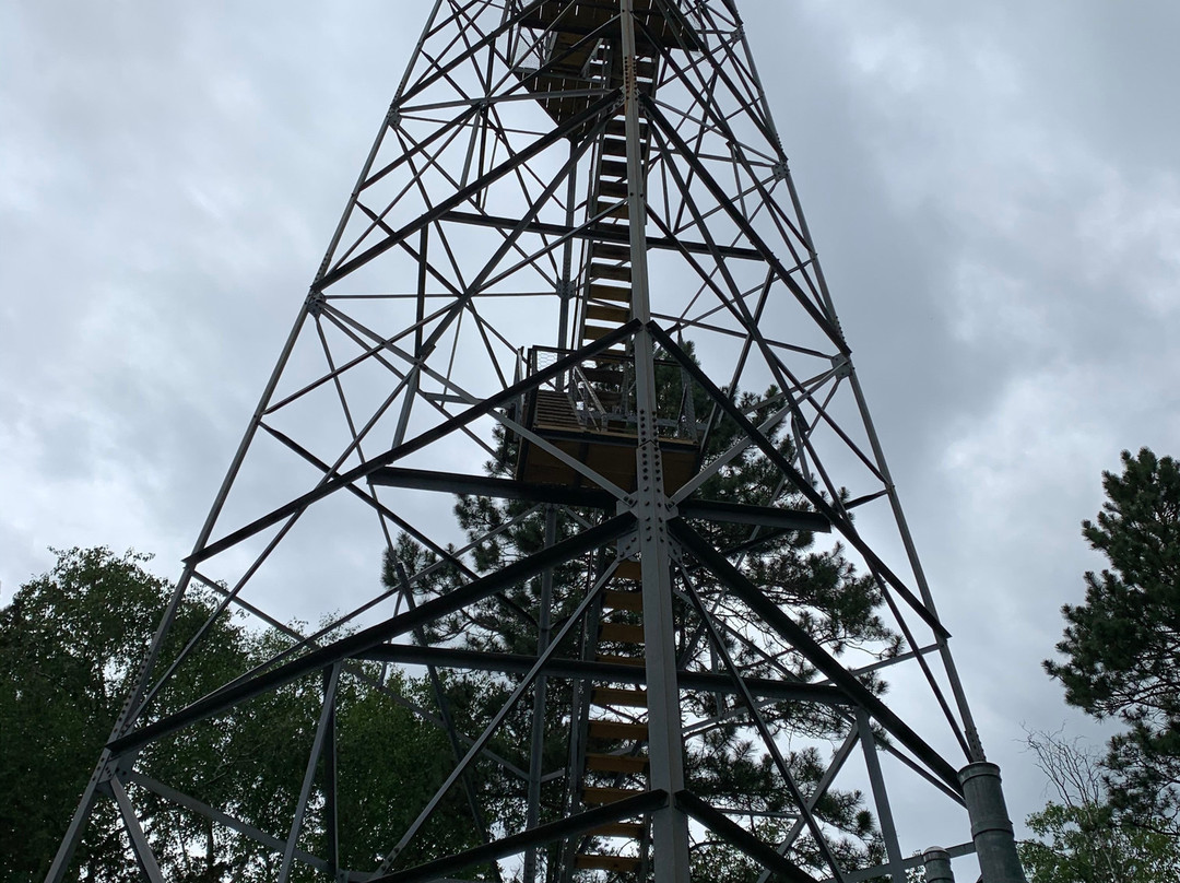 Paul M Thiede Fire Tower Park-Pequot Lakes必去景点