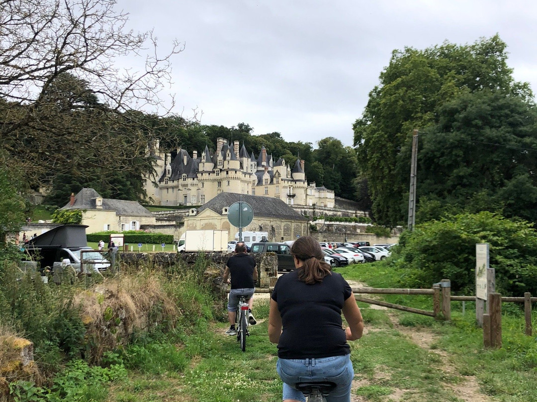 Loire Velo Nature景点图片