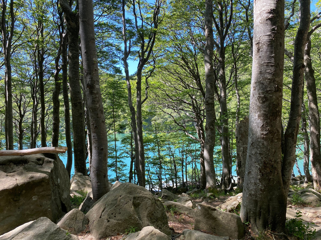 Lago Santo Parmense景点图片