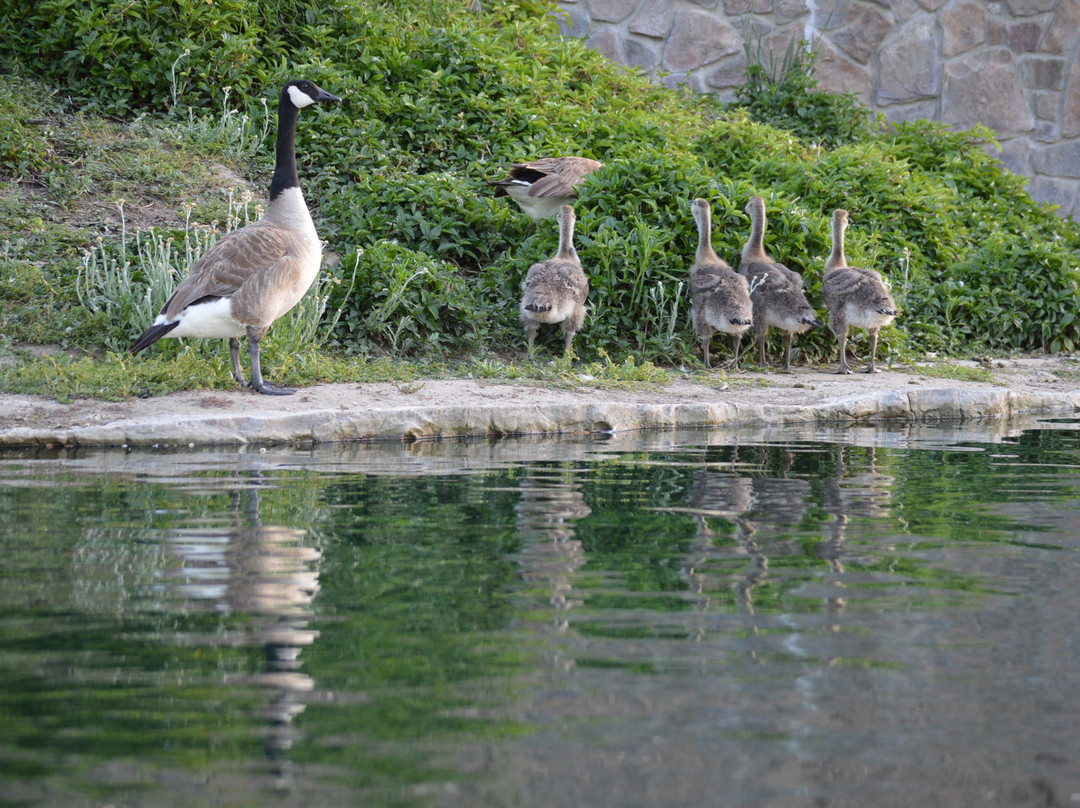 Heritage Park-喜瑞都必去景点