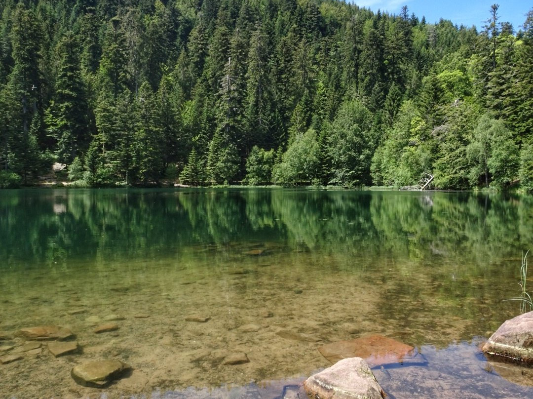 Lac de la Maix景点图片
