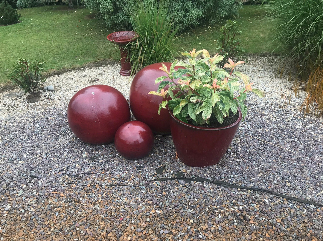 Glenavon Japanese Garden景点图片