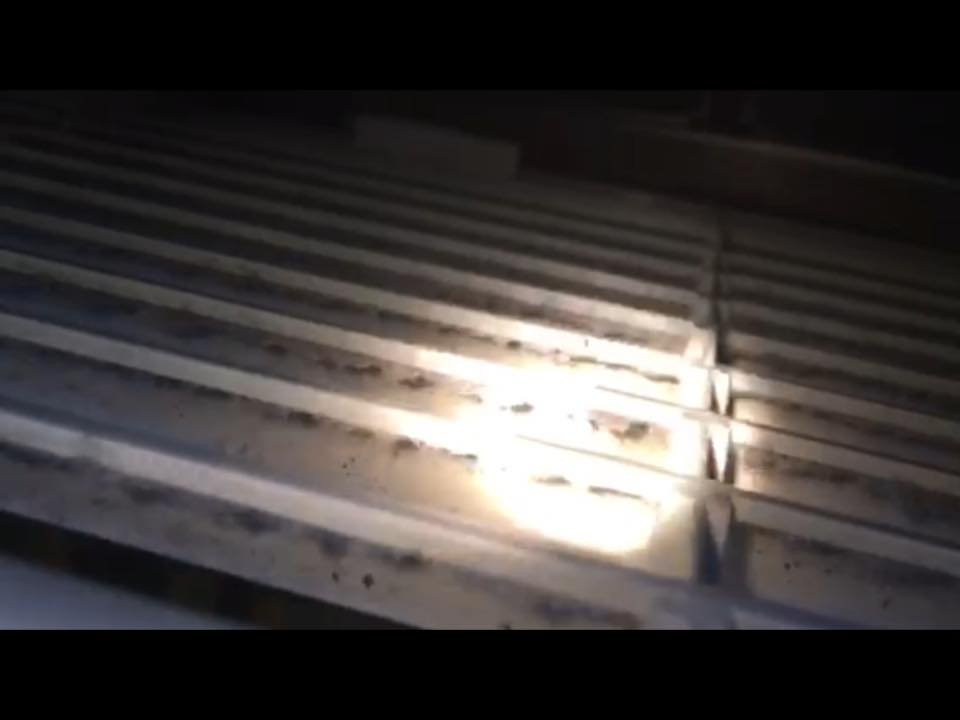 Super 8 by Wyndham Bowling Green North主图