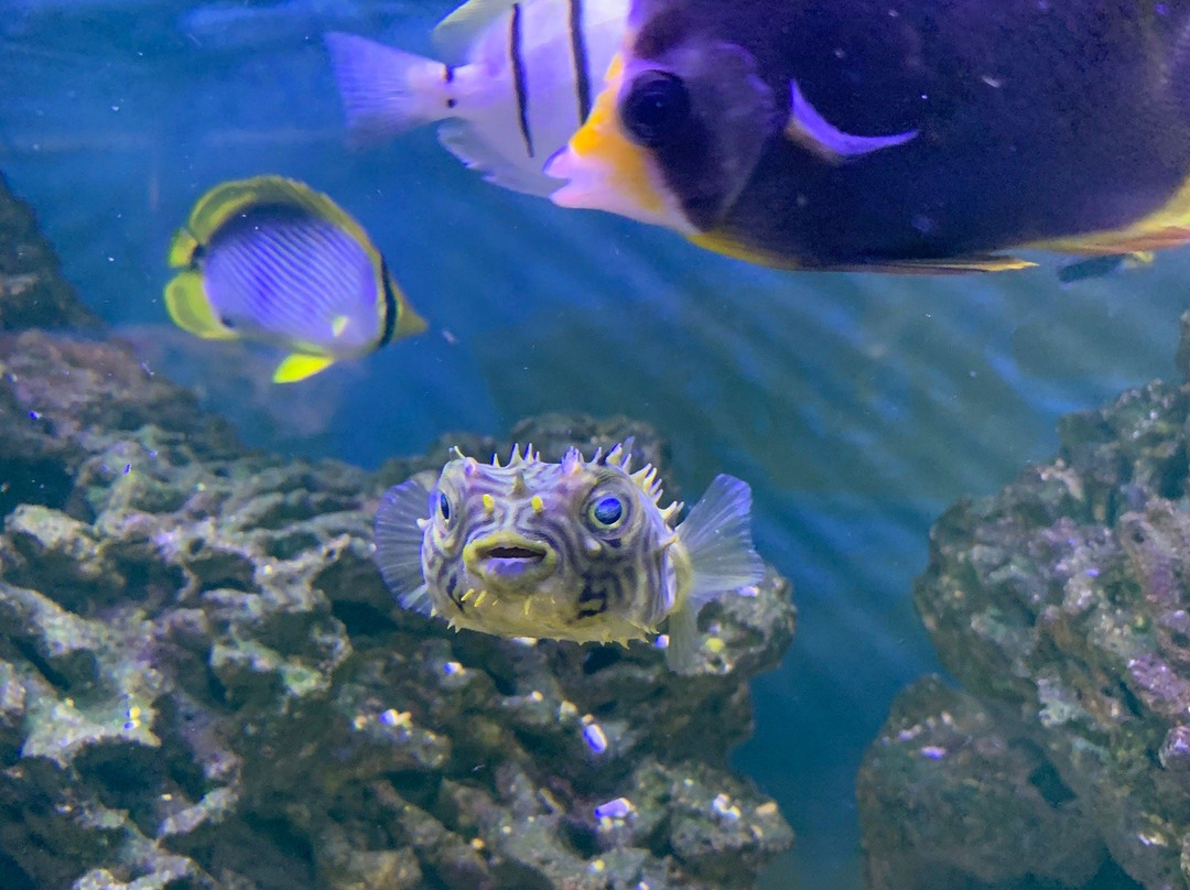 Aqua Zoo Leerdam-Leerdam必去景点