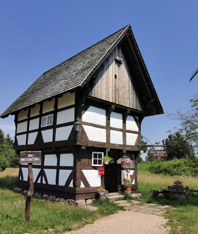 Internationalen  Mühlenmuseum Gifhorn-Gifhorn必去景点