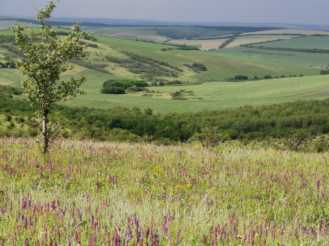 Piligrim Moldova-基希讷乌必去景点