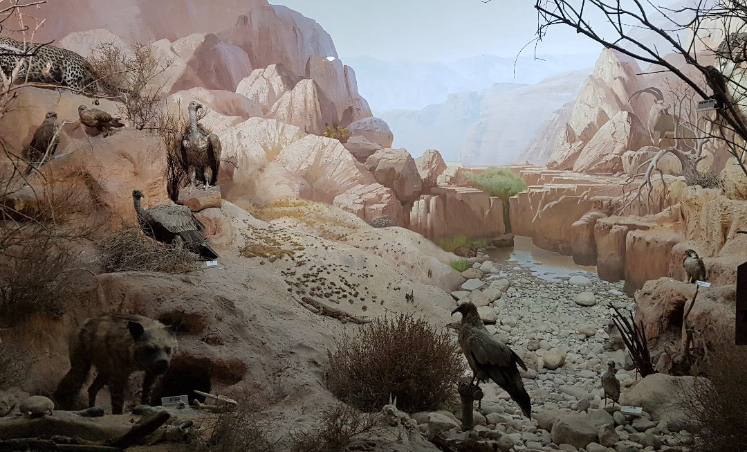 Man and the Living Museum-拉马干必去景点