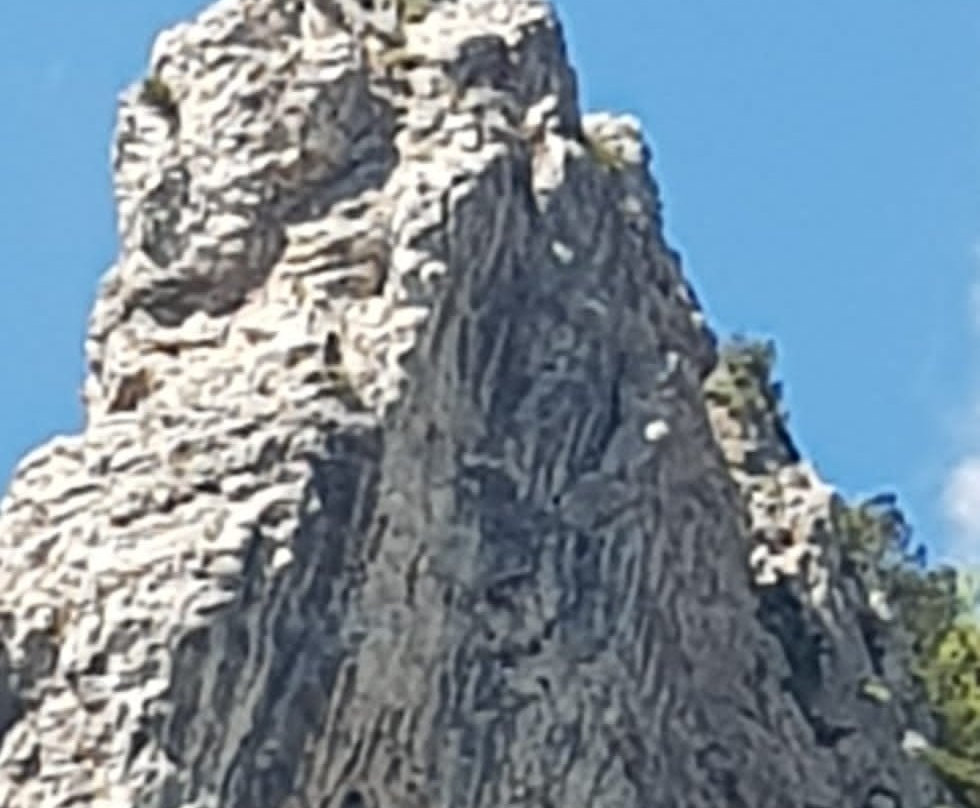 Giro delle Malghe – Campogrosso景点图片