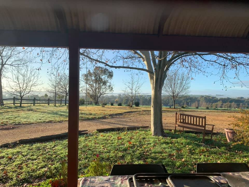 葡萄园汽车旅馆主图