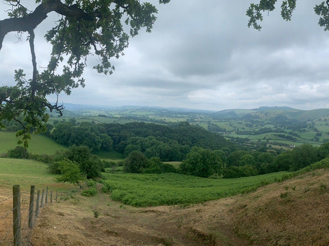 Ragleth Hill-Church Stretton必去景点