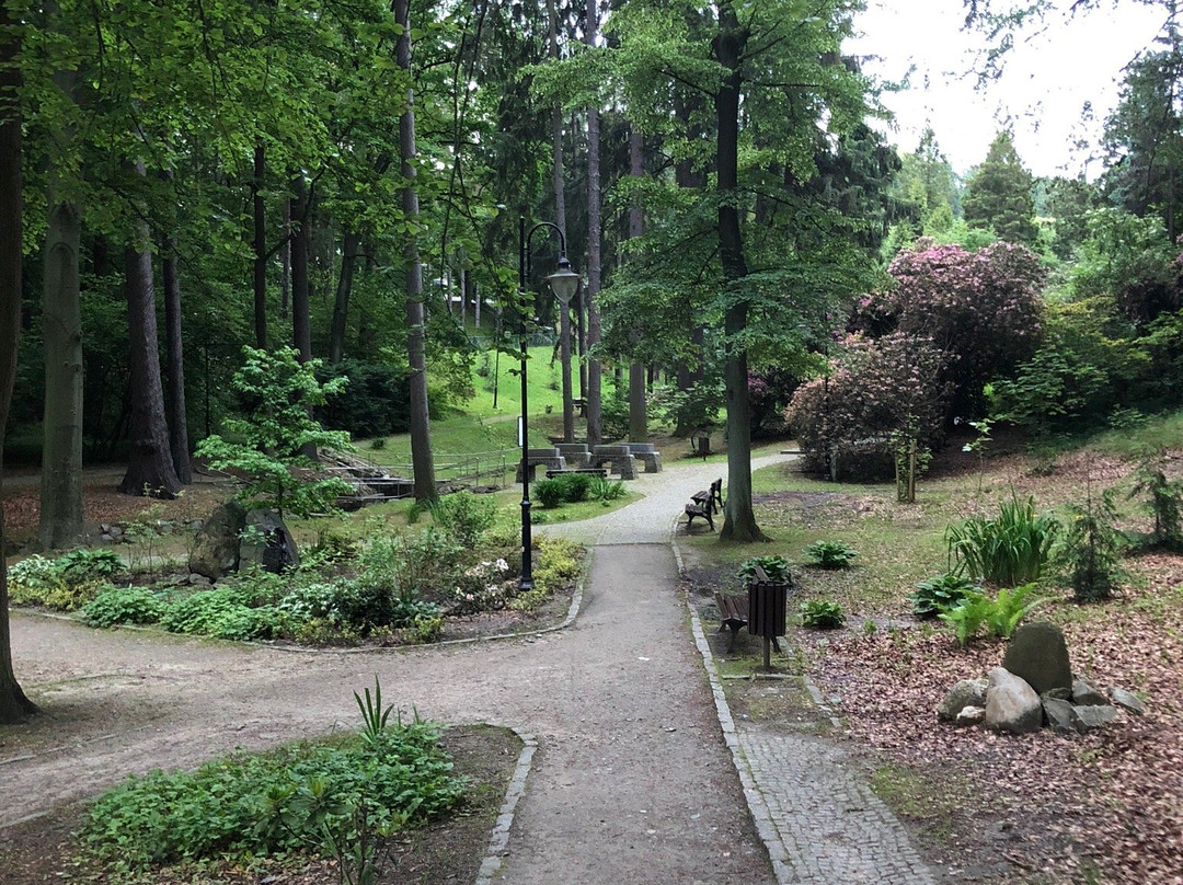 Park Zdrojowy景点图片