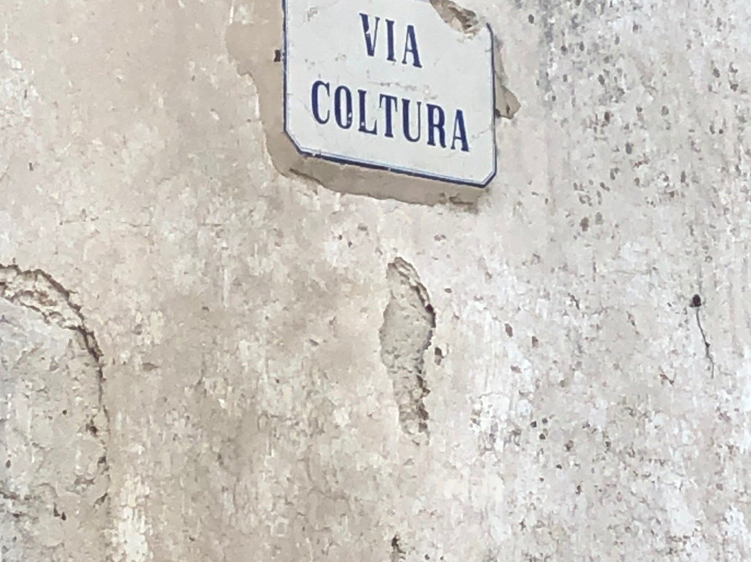 I Palazzi Storici Di Via Coltura景点图片