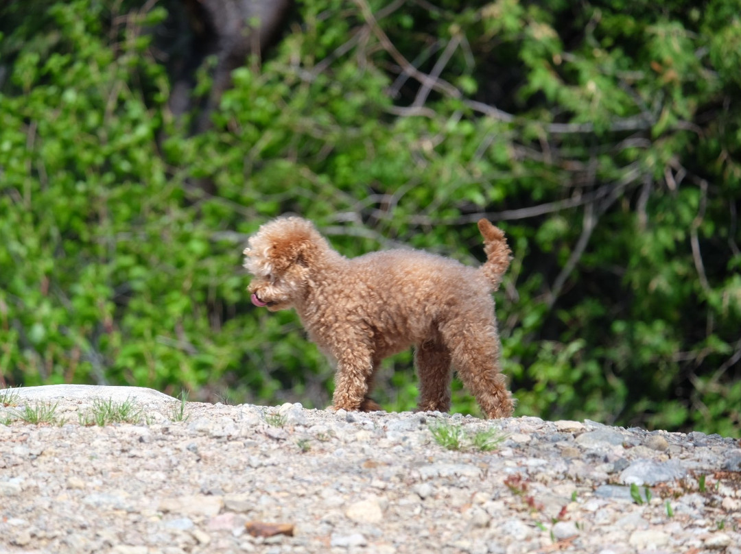 Pourvoirie Pavillon Basilieres-Saint Zenon必去景点