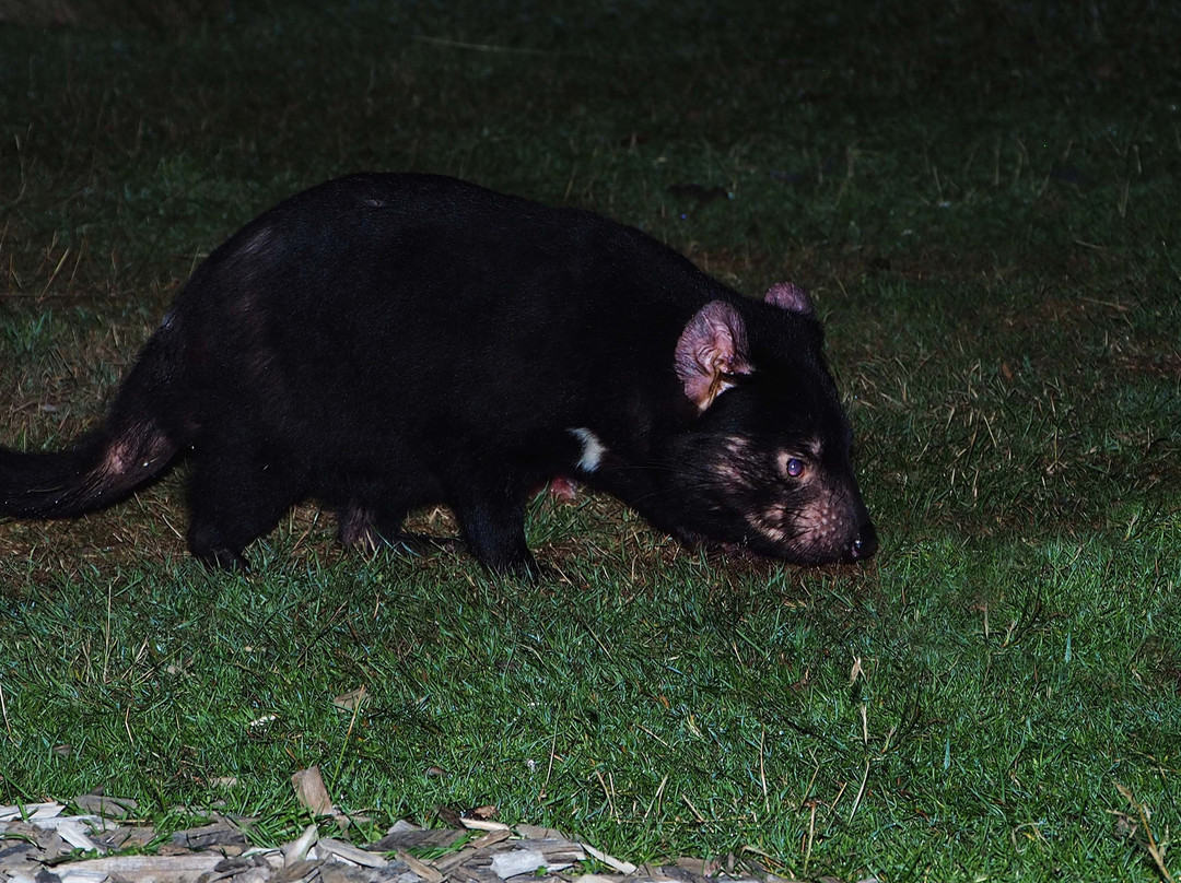 Mountain Valley Wilderness Holidays主图