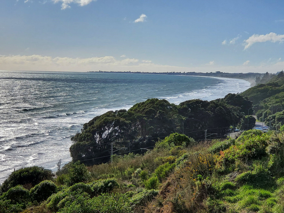 Paekakariki Escarpment Walkway景点图片
