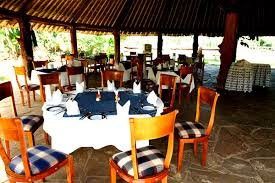 Massai Ostrich Resort & Farm景点图片