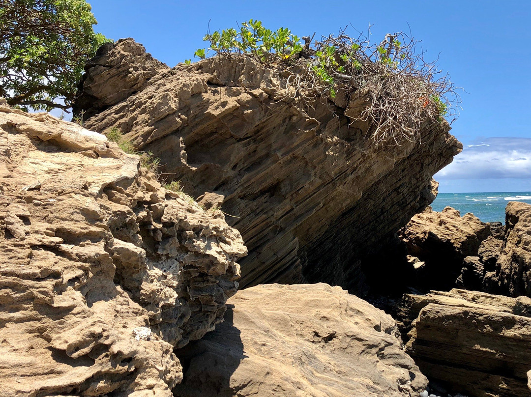 Waiehu Beach Park景点图片