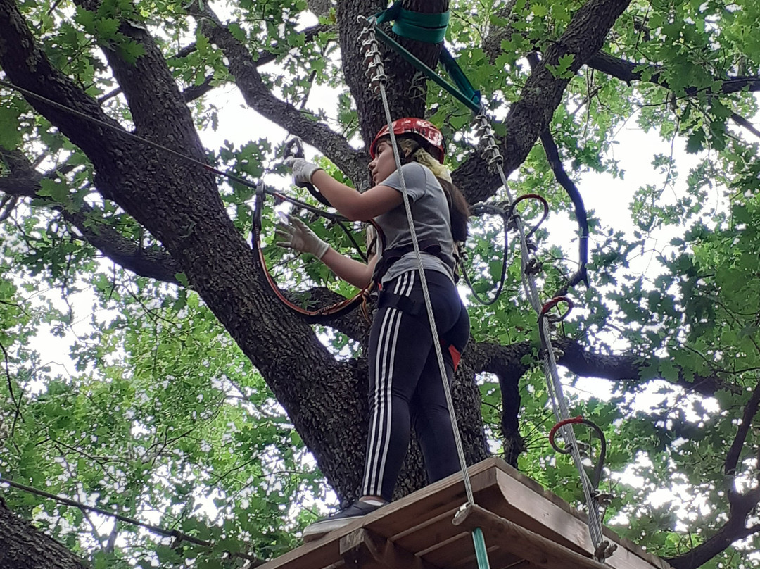 Parco della Merla-Poli必去景点