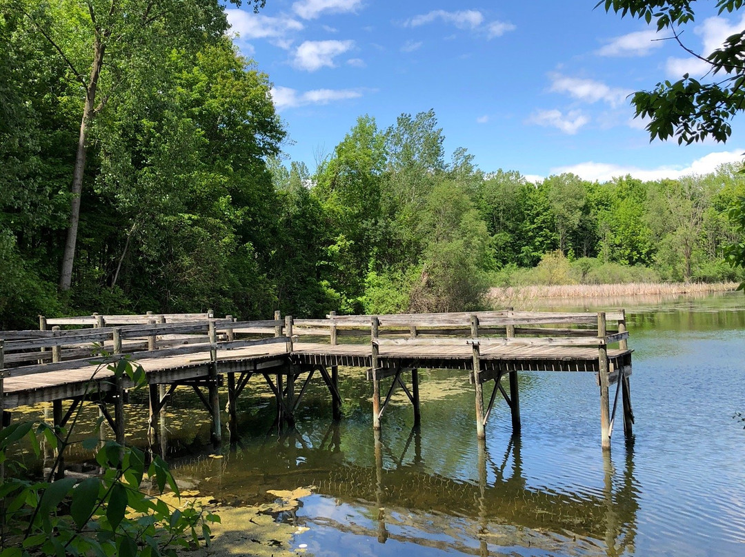 Maybury State Park-诺斯维尔必去景点
