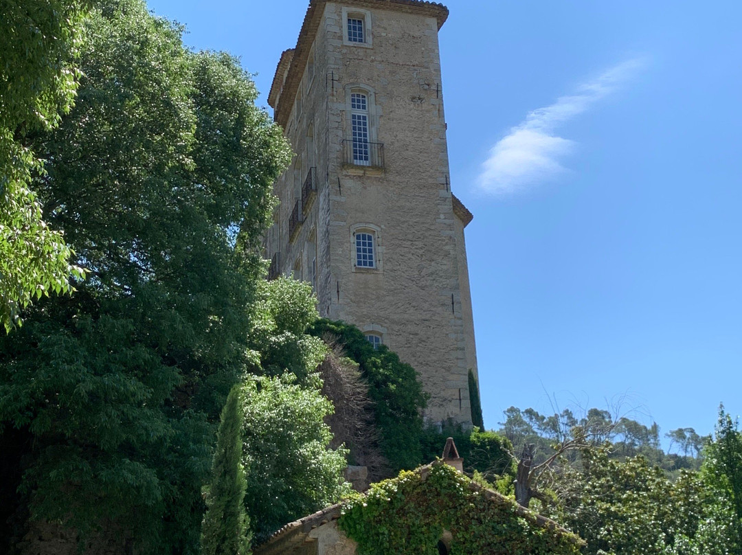 Château d'Entrecasteaux景点图片