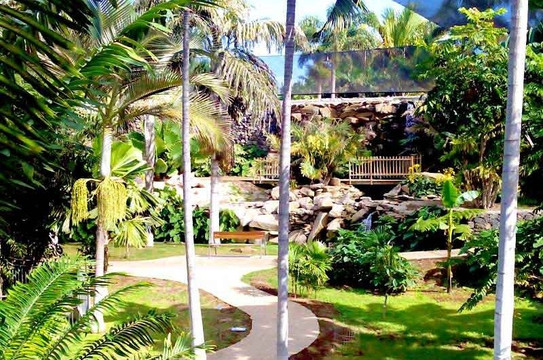 DUPLICATED-圣克鲁斯-德特内里费必去景点