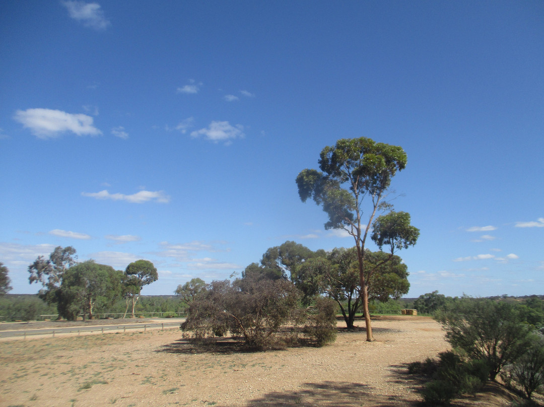 Billy Goat Hill Lookout-Morgan必去景点