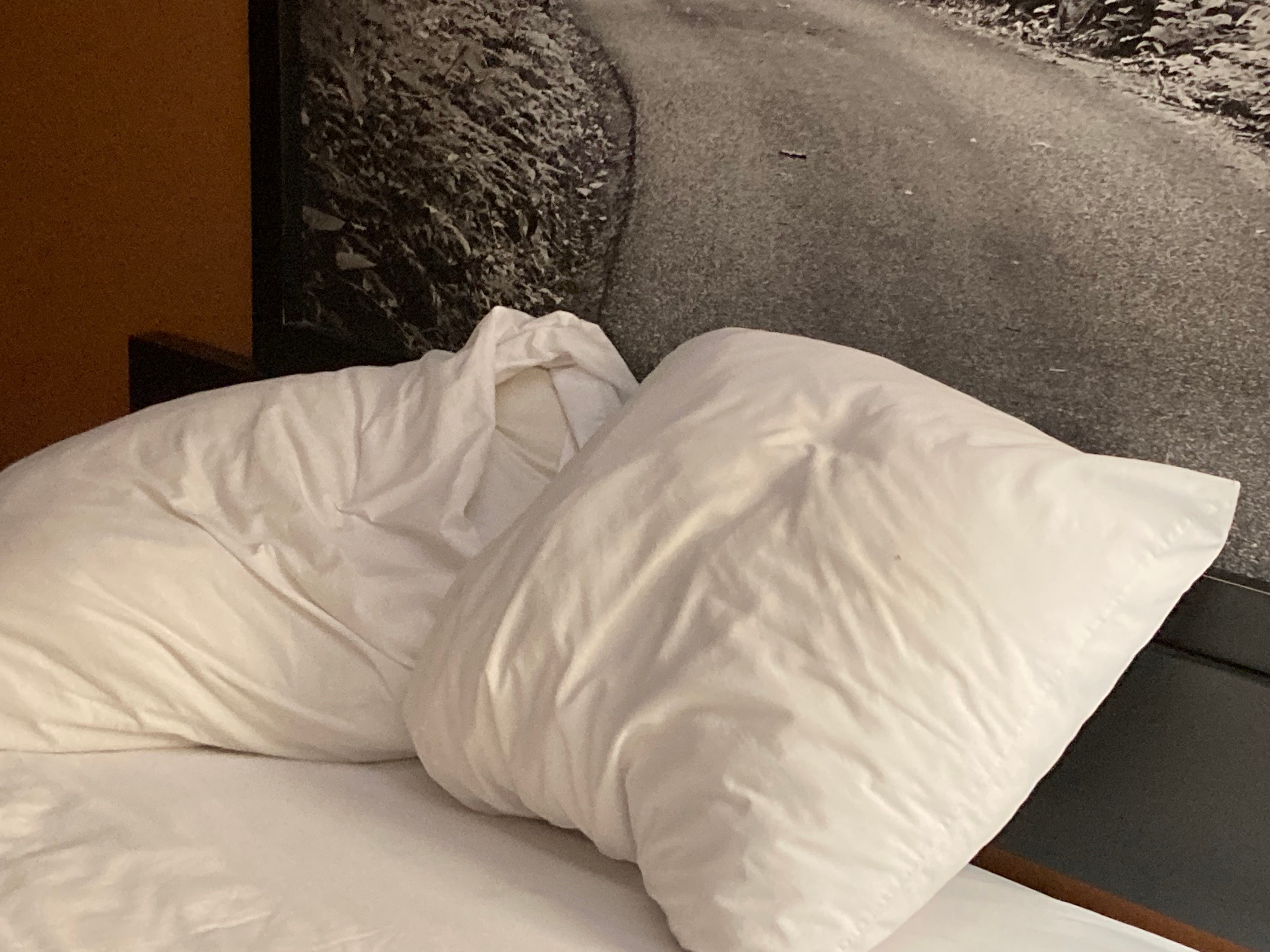 Comfort Inn & Suites-官方