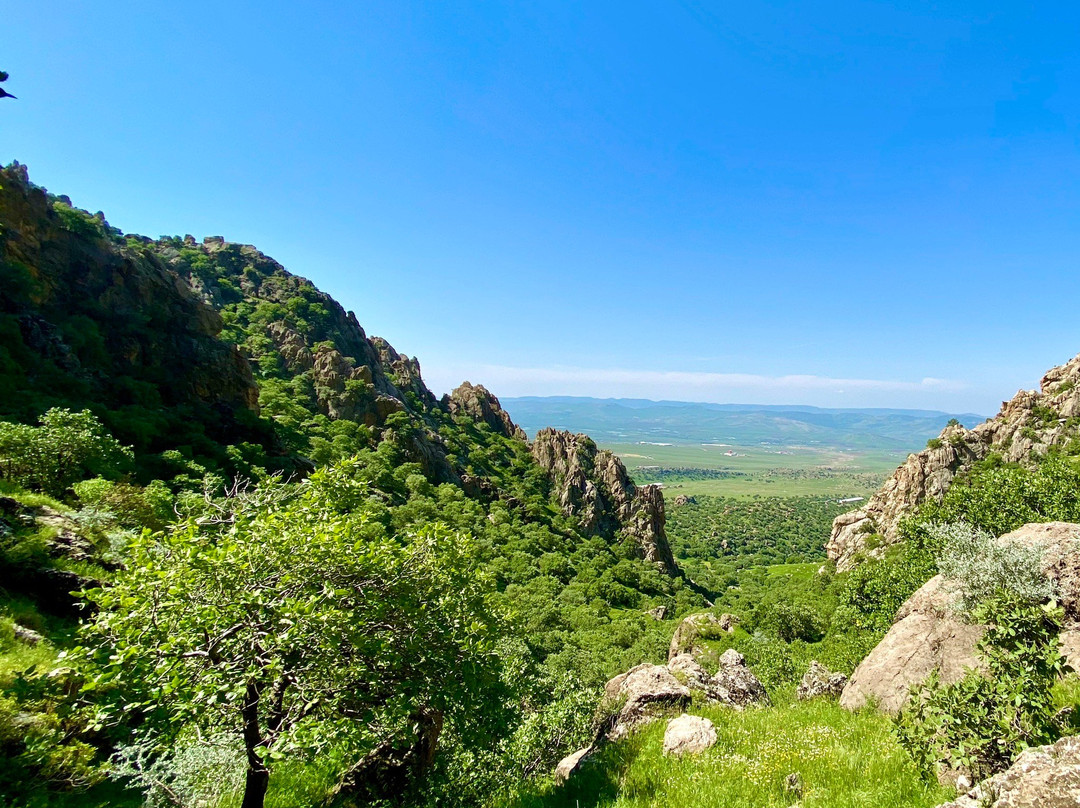 Merquli Rock Relief-苏莱曼尼亚必去景点