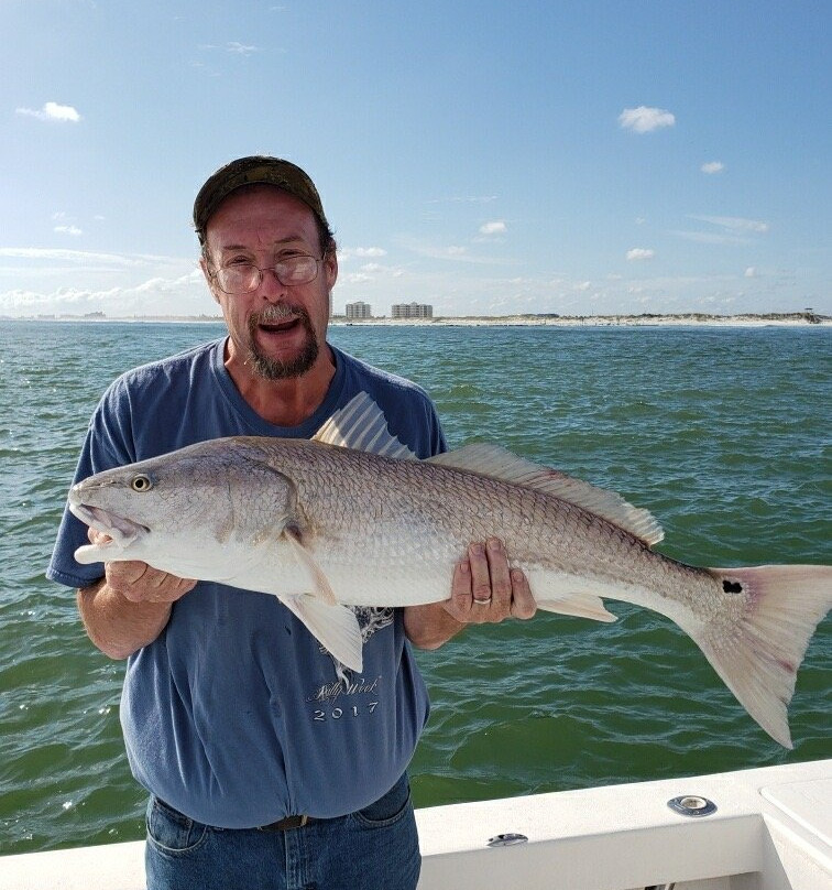 Crider Fishing Charters景点图片