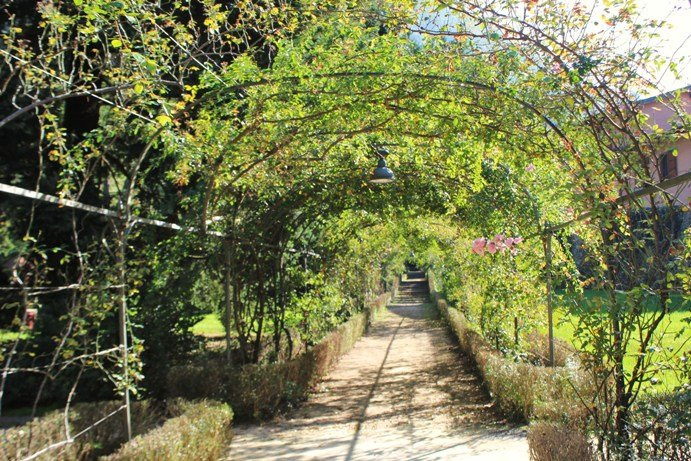 Parco Comunale-Pisogne必去景点
