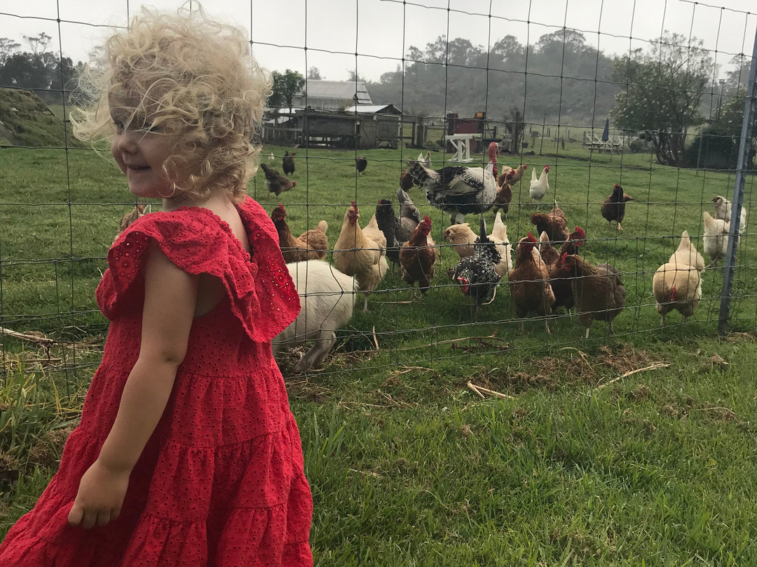 The Lili House Farm-火山必去景点