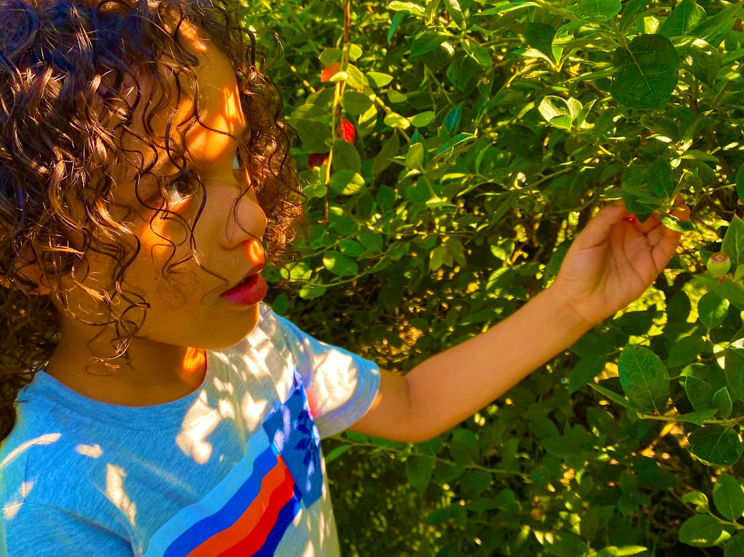 Amber Brooke Farms Williston-Williston必去景点