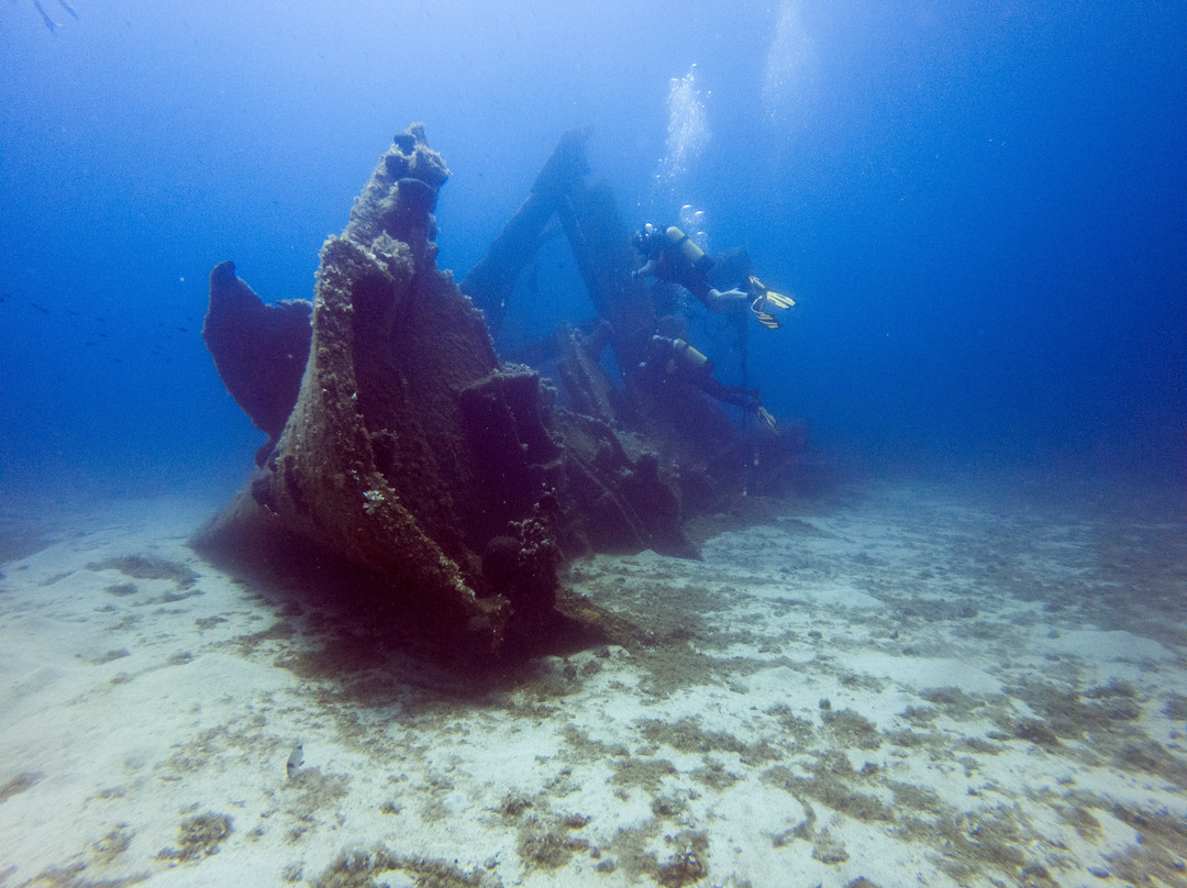 Dive With Me Athens-Artemida必去景点