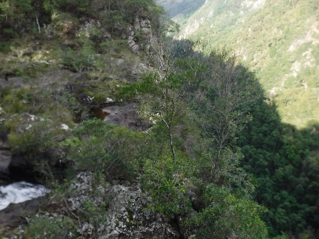 Ellenborough Falls-Elands必去景点