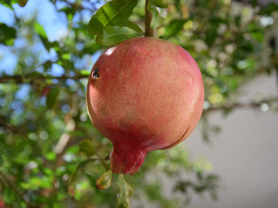 Oude Werf Hotel主图