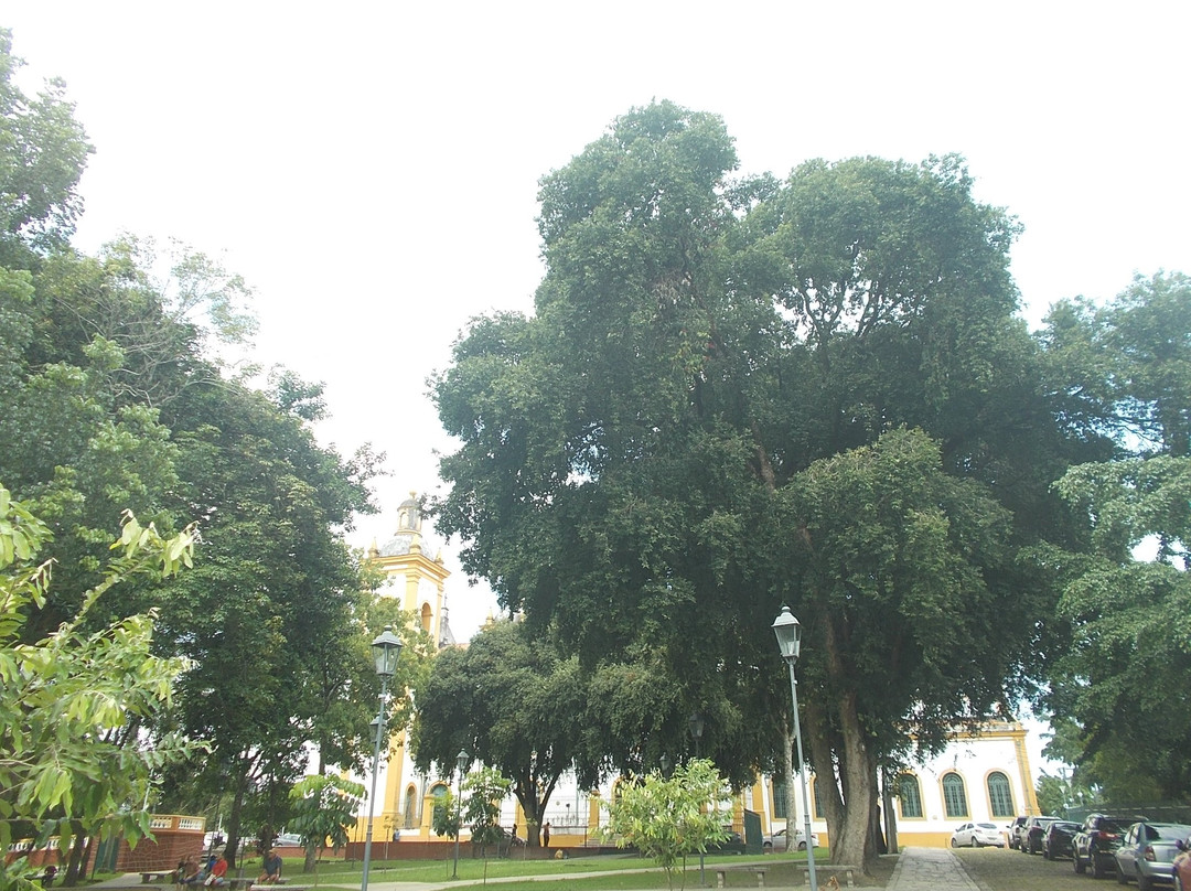 Catedral Metropolitana de Manaus-玛瑙斯必去景点