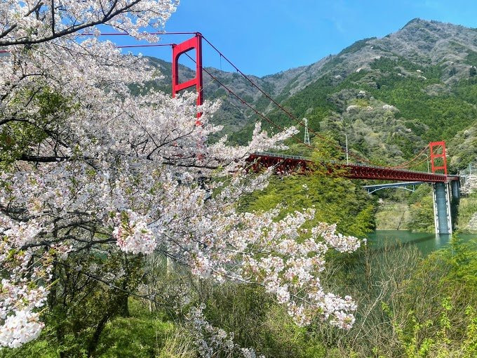 Owatari Dam Bridge-仁淀川町必去景点