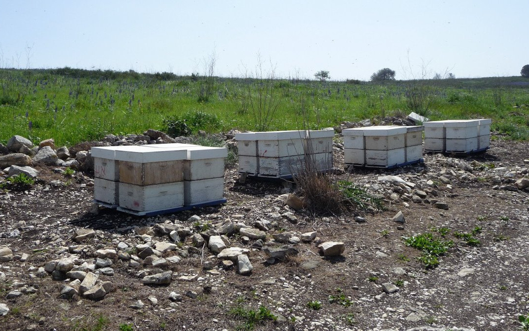 Nahal Hashofet-Yokneam Moshava必去景点