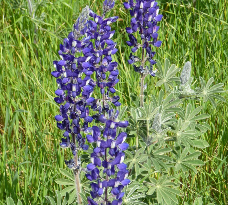 Nahal Hashofet-Yokneam Moshava必去景点