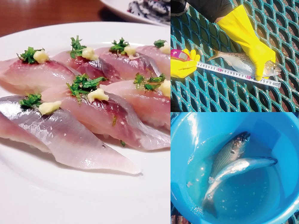 Ichihara Fishing Park-市原市必去景点