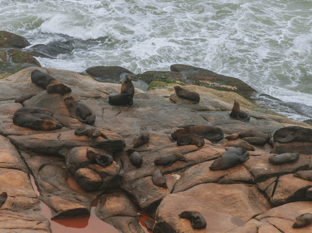 凯博波洛尼奥灯塔-Cabo Polonio必去景点