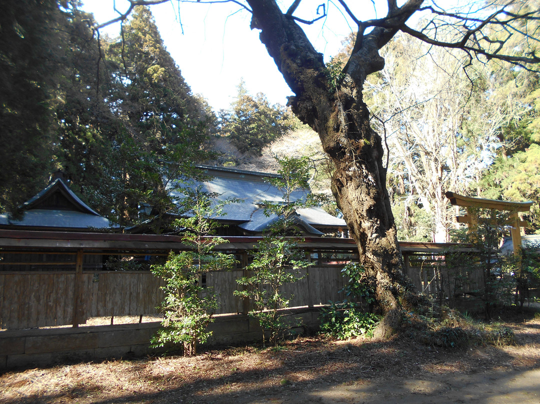 Babatsutsukowake Shrine景点图片