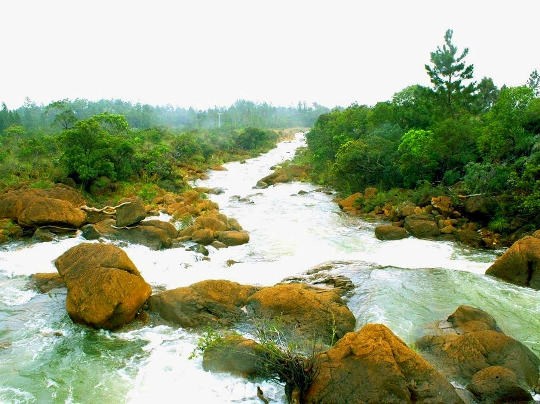 Barrage de Yaté-Yate必去景点