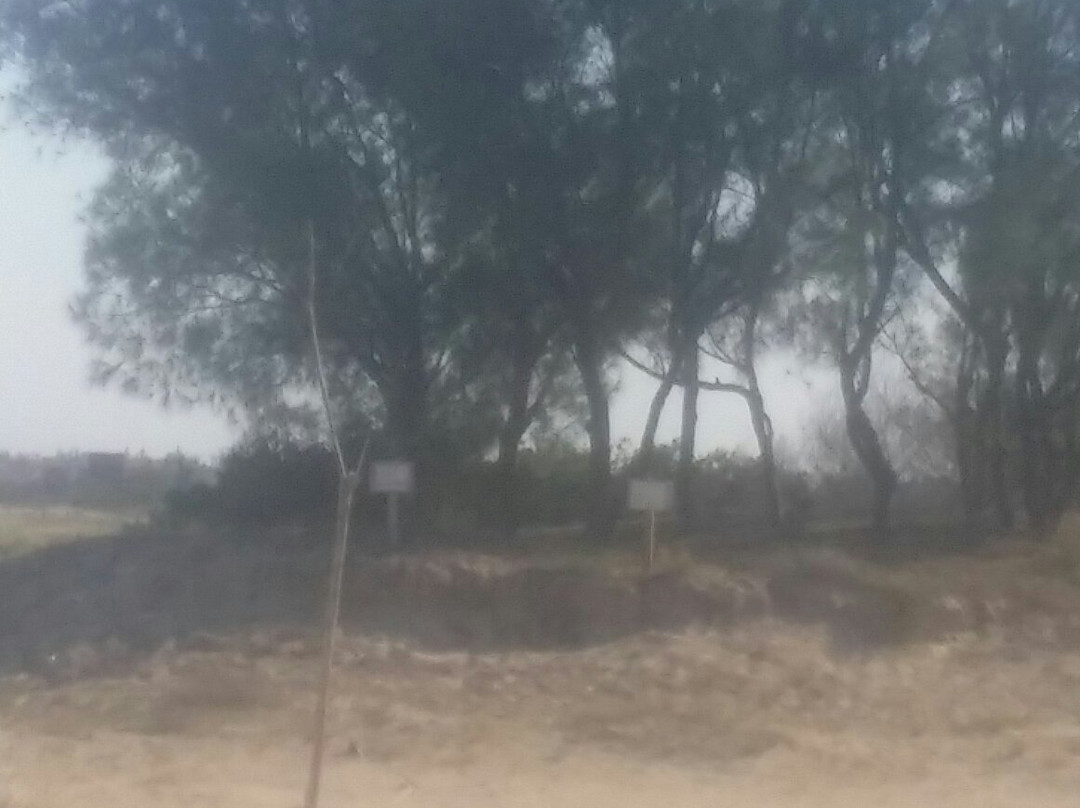 Imara Beach-Imbe必去景点